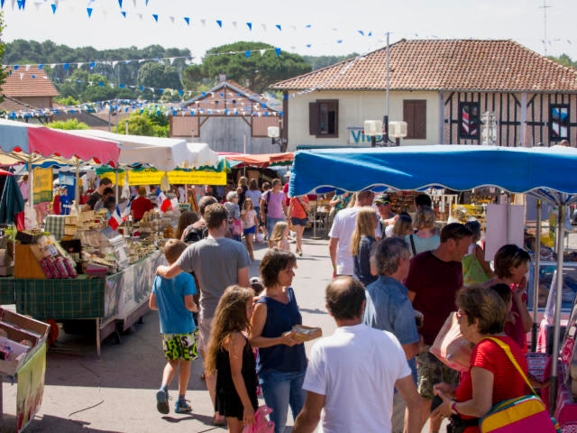 Marchés des Landes : Le Guide Ultime pour un Été 2026 sur la Côte Sud (Hossegor, Seignosse, Vieux-Boucau)